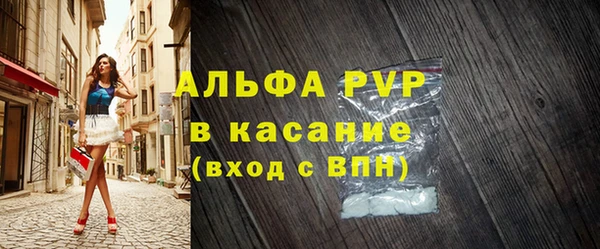 стафф Арсеньев