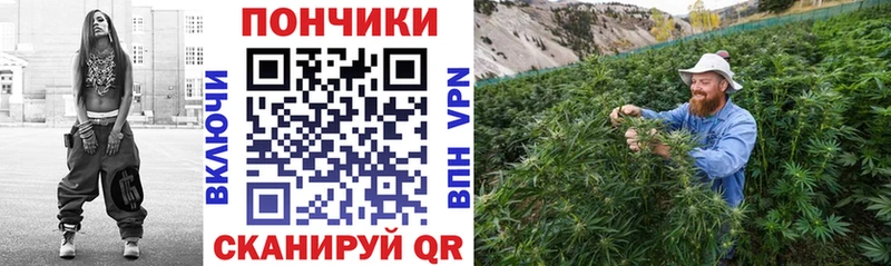 закладка  Онега  Конопля AK-47 